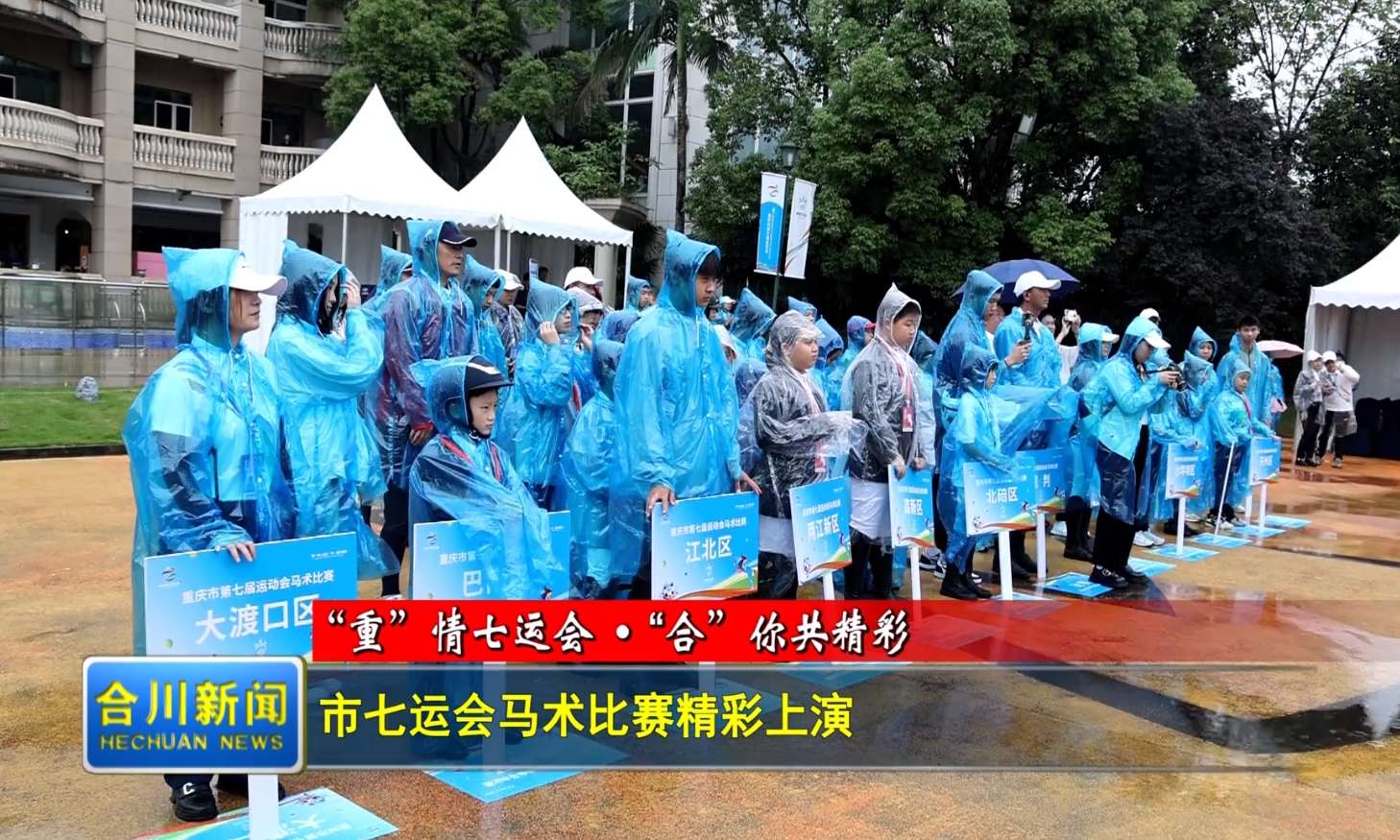 市七运会马术比赛精彩上演